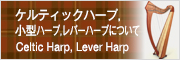ケルティックハープ, 小型ハープ（レバーハープ） について Celtic Harp, Lever Harp