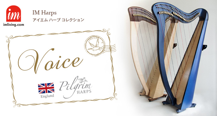 LEVER HARP "Clarsach Electro-Acoustic Harp"