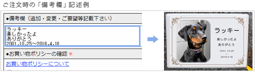 備考欄の入力例