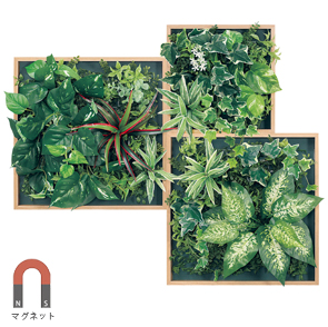 マグネット付き木目調フレームグリーン3連GM1861