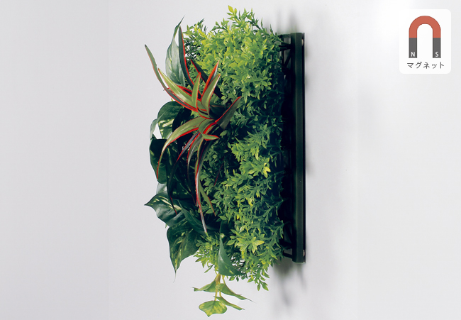 磁石付きのマグネットグリーンの側面