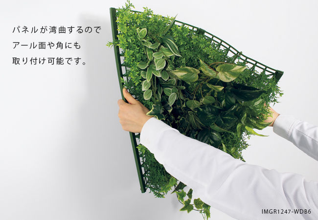 パネルが湾曲するフェイクグリーン