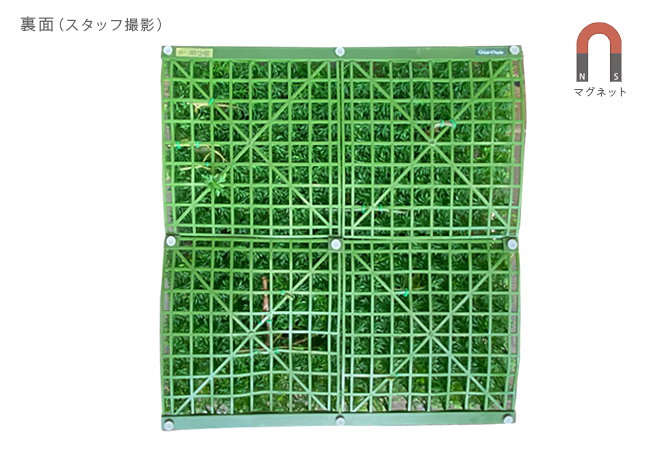 磁石付きのマグネットグリーンの裏面