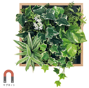 マグネット付き木目調フレームグリーンGR1252