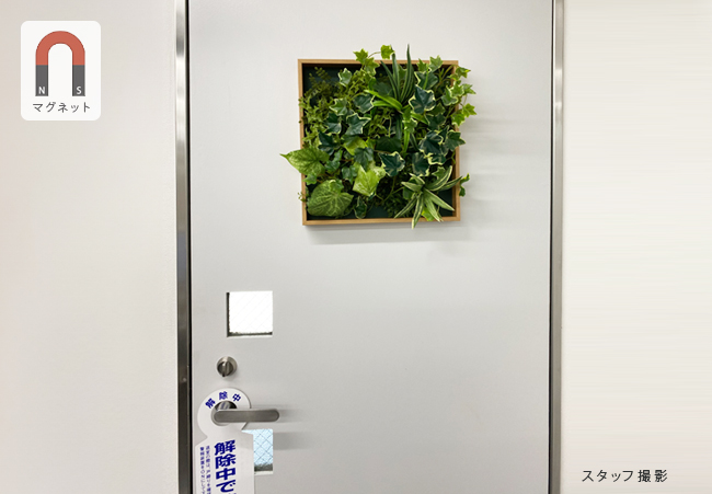 フレーム付きフェイクグリーンをドアに設置した例