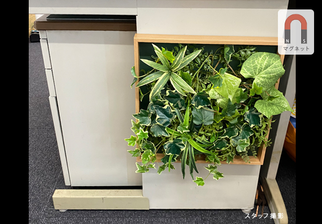 マグネット付きグリーンフレームをデスクに飾った例、スタッフ撮影