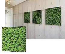 壁付けグリーン60×60cm、GR3567