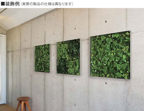 壁付け大型フェイクグリーン60×60cm | ウォールグリーン GR3568 ...