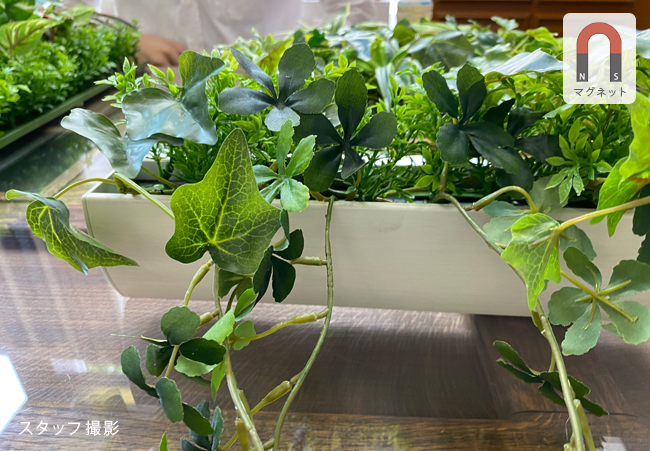 GR4492のアップ、スタッフ撮影