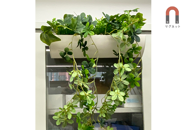 マグネット付きフェイクグリーンをオフィスのキャビネットに装飾した例