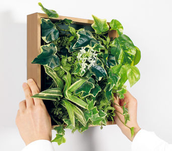 湾曲するマグネットフェイクグリーンパネル