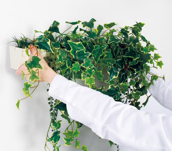 磁石でくっつくマグネットフェイクグリーンポット