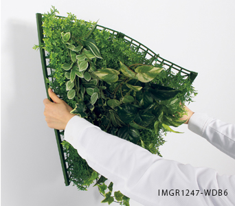 湾曲するマグネットフェイクグリーンパネル