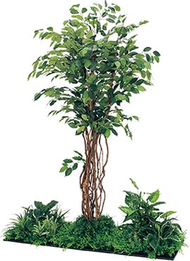 植栽風の人工樹木、フィカスベンジャミンGM5708