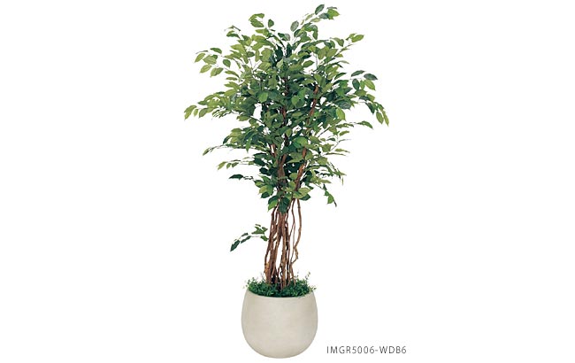 人工樹木鉢植えタイプ GR5006 フィカスベンジャミン