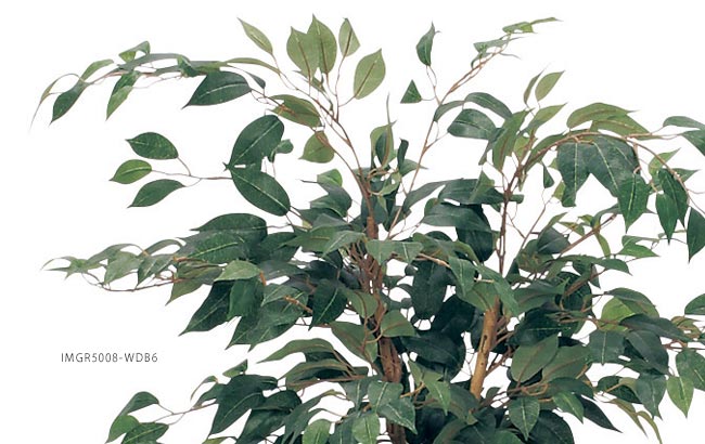 人工樹木鉢植えタイプ GR5008 フィカスベンジャミン
