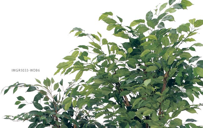 人工樹木フィカスベンジャミンGR5033の葉部分アップ