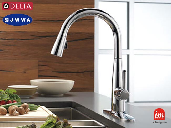 DELTAキッチン用混合水栓 Essa クローム、シャワー水栓